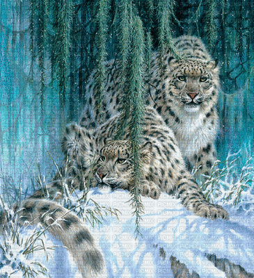 leopard - Ingyenes animált GIF
