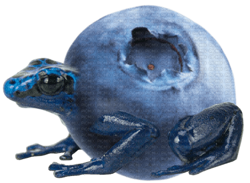 blueberry frog - PNG gratuit