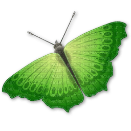 Kaz_Creations Deco Butterfly  Colours - png gratis