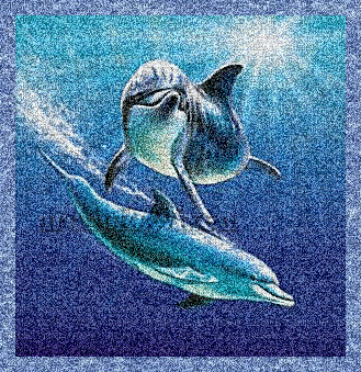 dolphins - Animovaný GIF zadarmo