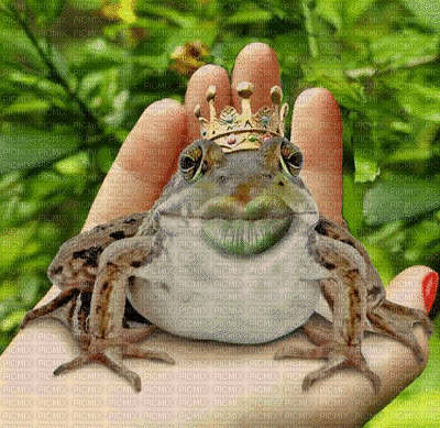 I Am a Frog Kiss Mee - 無料のアニメーション GIF