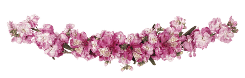 vintage border deco  flowers pink - besplatni png