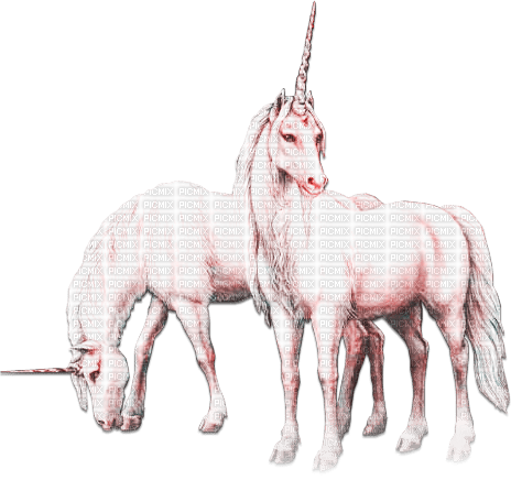 soave animals unicorn tree fantasy deco couple - bezmaksas png