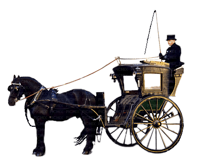 coche caballos  dubravka4 - 免费PNG