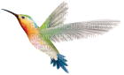 hummingbird - png ฟรี