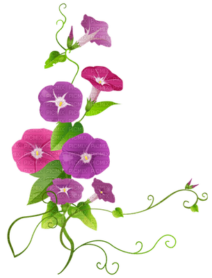 Kaz_Creations Flowers Flower - zadarmo png