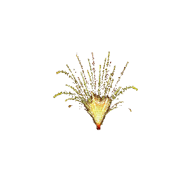 fireworks katrin - GIF animado gratis