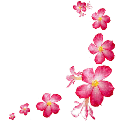 pink flowers - nemokama png
