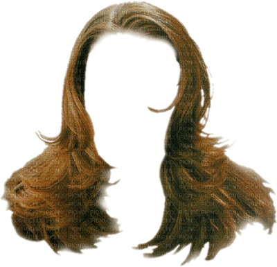 perruque cheveux coiffure - gratis png