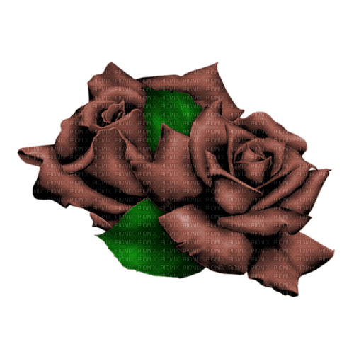 autumn deco kikkapink png brown rose - δωρεάν png