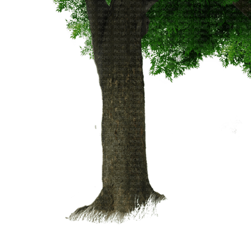 Tree - png gratis