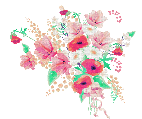 soave deco spring flowers branch animated poppy - GIF animate gratis