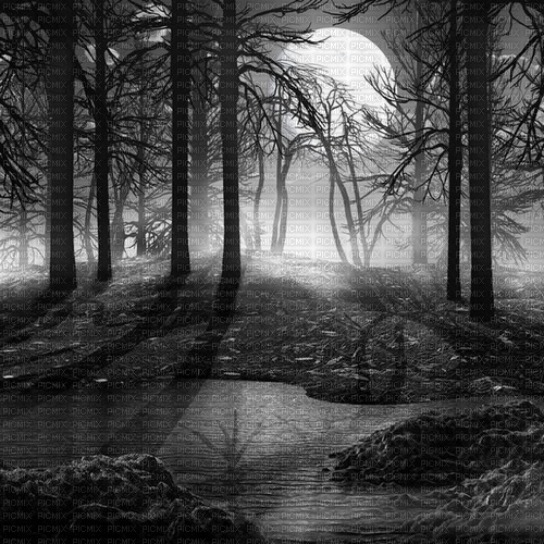 ..:::Background-Black Forest:::.. - 無料png