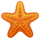 Kaz_Creations Deco Beach Starfish - PNG gratuit