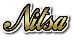 Nitsa Logo - zadarmo png