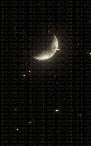 Night Moon - GIF animado grátis