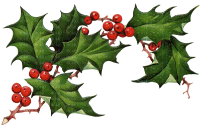 branche hiver décoration Noël_winter_ branch     decoration Christmas - 無料png