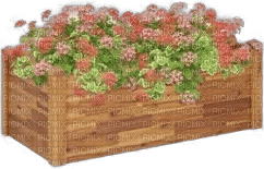 Blumenkasten - gratis png
