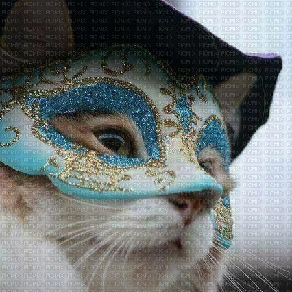 chat  carnaval - kostenlos png