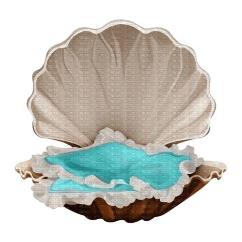 coquillage - 免费PNG
