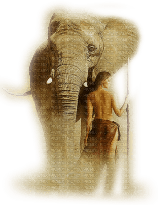 éléphant et jane - besplatni png