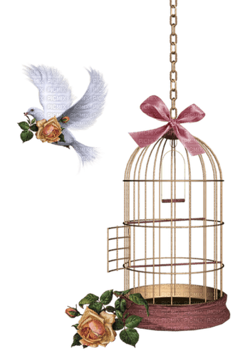 Cage à oiseaux - 免费PNG