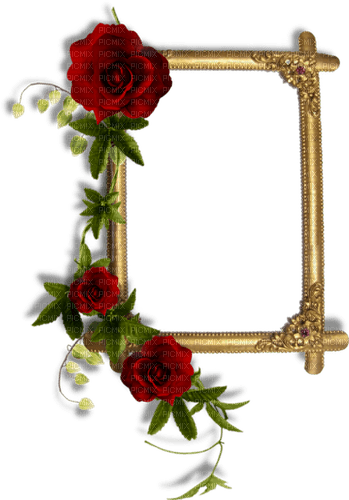 frame-gold-guld-roses - PNG gratuit