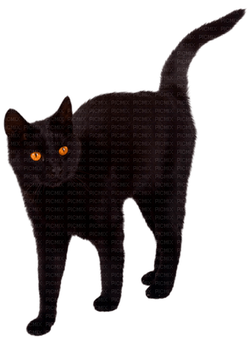 Cat.Black - png grátis