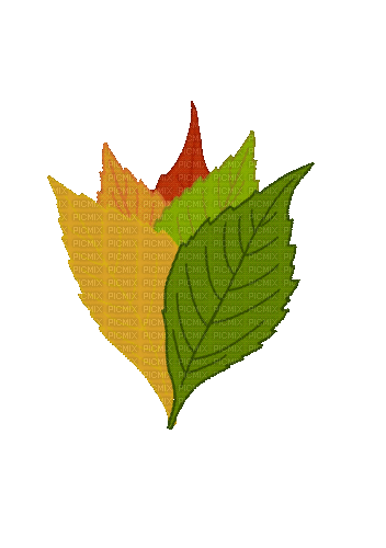 Autumn Leaves - Бесплатни анимирани ГИФ