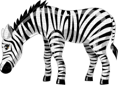 Zebra - бесплатно png
