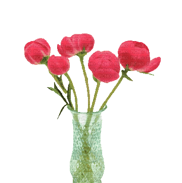 flower,tulip - 無料のアニメーション GIF