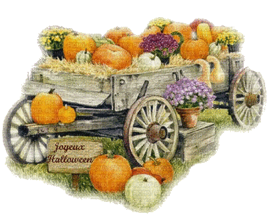 pumpkins _ autumn_citrouilles_ automne_BlueDREAM 70 - GIF animate gratis