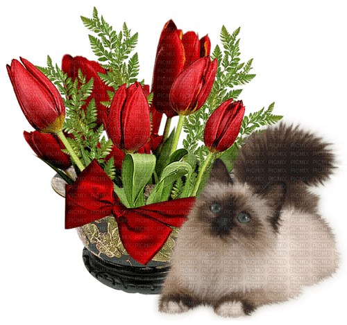 dolceluna spring cat vintage deco red roses - PNG gratuit