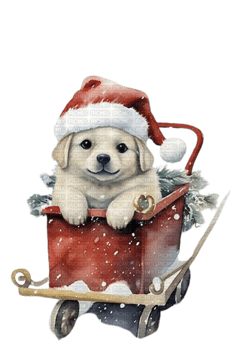 loly33 chien noël luge - Free PNG