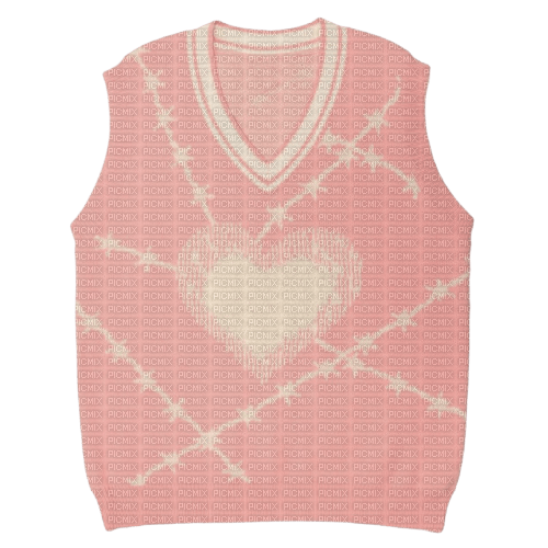pink vest - nemokama png