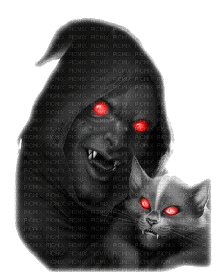 devil cat - Free animated GIF
