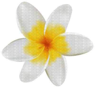 Kaz_Creations Flowers Flower - zadarmo png
