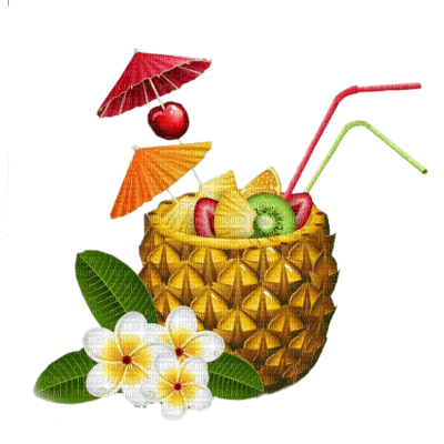 tropical coctel watercolor  dubravka4 - png ฟรี