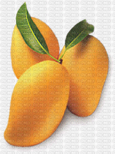 fruits - GIF animado gratis