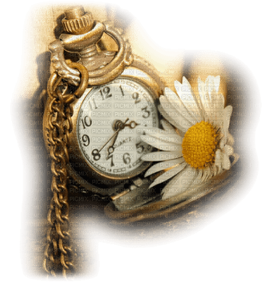 reloj - Free PNG