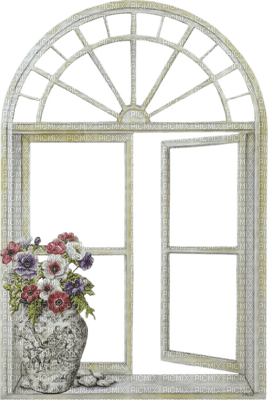 window white flowers - 免费PNG