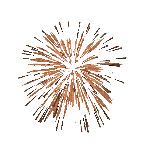 fireworks - Free animated GIF