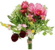 Blumen - Besplatni animirani GIF