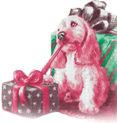 soave christmas winter dog animals deco box - kostenlos png