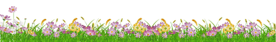 FLOWERS AND GRASS - gratis png