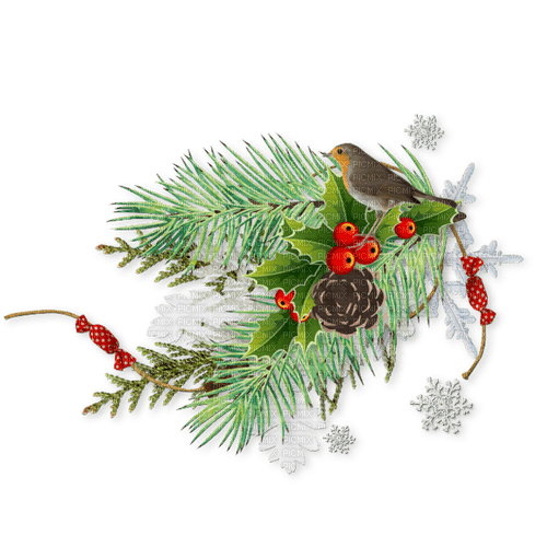 Christmas - Bogusia - безплатен png