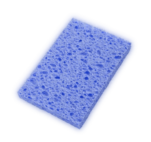 sponge - ücretsiz png