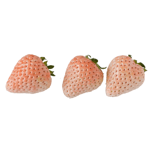 ✶ Strawberries {by Merishy} ✶ - gratis png