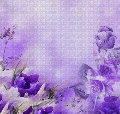 spring_summer background - 無料png