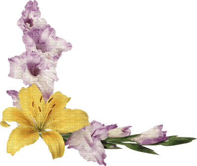 Vintage flowers - PNG gratuit